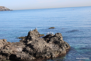 Aci Trezza